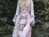 Hrad Švihov 2009