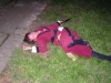 Noční prohlídky Bučovice květen 2009
